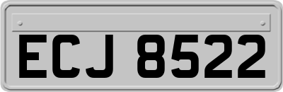 ECJ8522