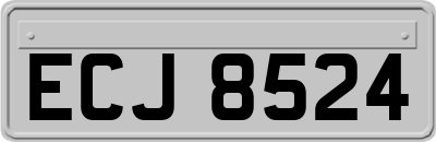 ECJ8524