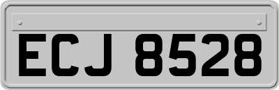 ECJ8528