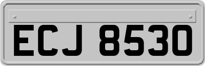 ECJ8530