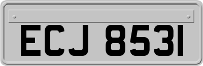 ECJ8531