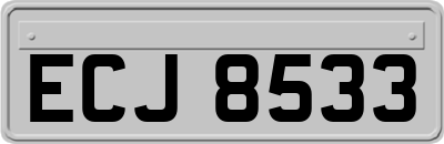 ECJ8533