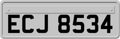 ECJ8534