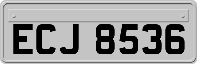 ECJ8536