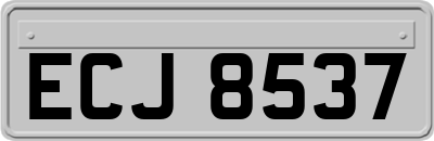 ECJ8537