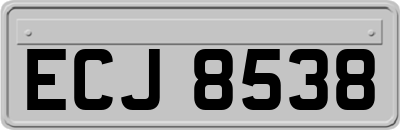 ECJ8538
