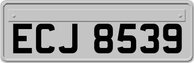 ECJ8539