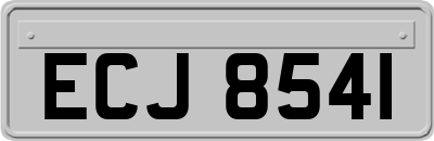 ECJ8541