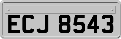 ECJ8543