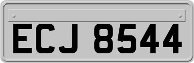 ECJ8544