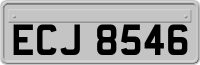 ECJ8546