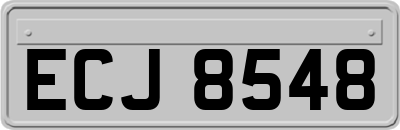 ECJ8548