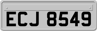 ECJ8549