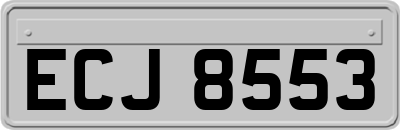 ECJ8553