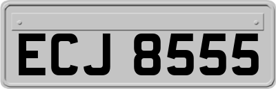 ECJ8555