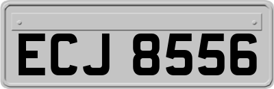 ECJ8556