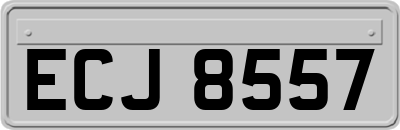 ECJ8557