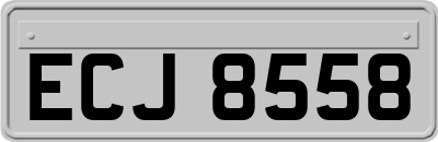 ECJ8558