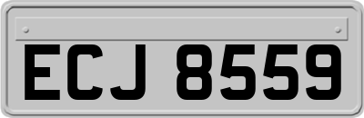 ECJ8559