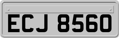 ECJ8560