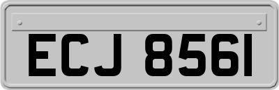 ECJ8561