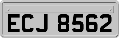 ECJ8562