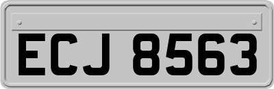 ECJ8563