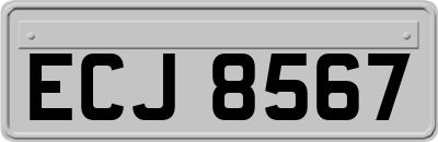 ECJ8567