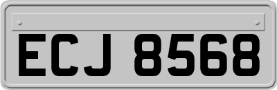 ECJ8568