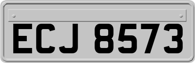 ECJ8573
