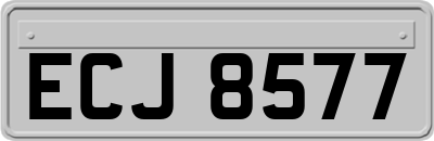 ECJ8577