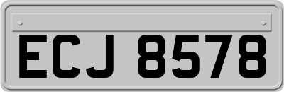 ECJ8578