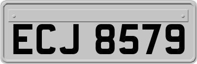 ECJ8579