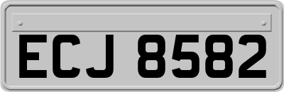 ECJ8582