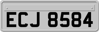ECJ8584
