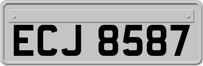 ECJ8587