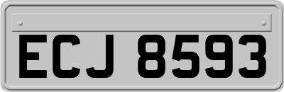 ECJ8593
