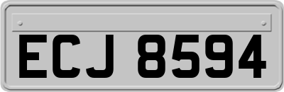 ECJ8594