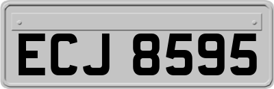 ECJ8595