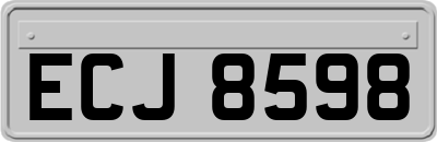 ECJ8598