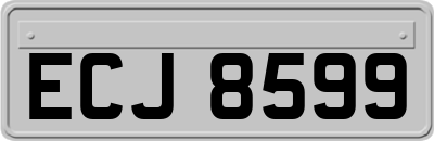 ECJ8599