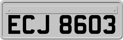 ECJ8603