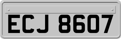 ECJ8607