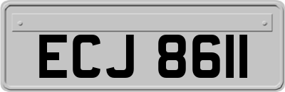 ECJ8611