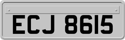 ECJ8615