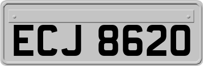 ECJ8620