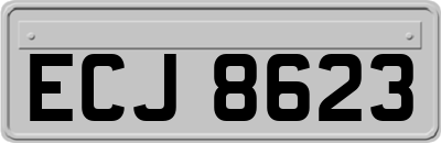ECJ8623