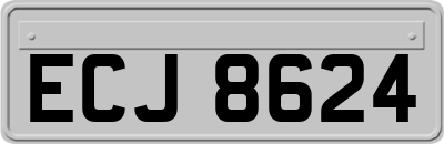 ECJ8624