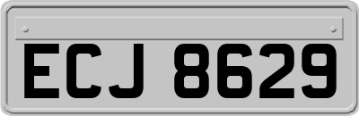 ECJ8629