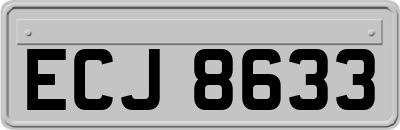 ECJ8633